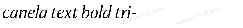 canela text bold tri字体转换
